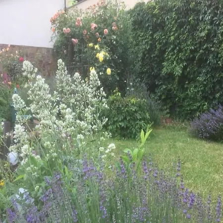 With Garden In Holiday home Zeil am Main