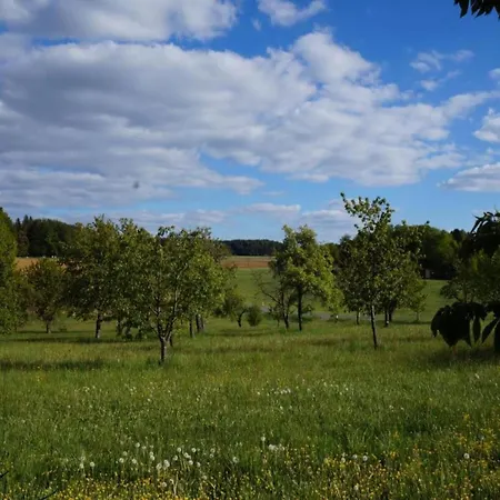 Comfort In Franconian Hills Zeil am Main