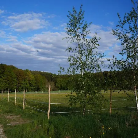 Comfort In Franconian Hills Zeil am Main