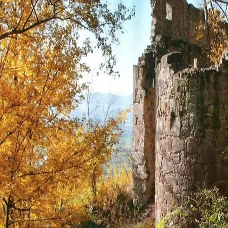 Comfort In Franconian Hills