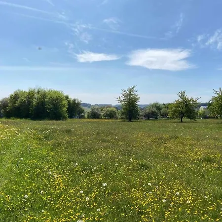 Comfort In Franconian Hills *