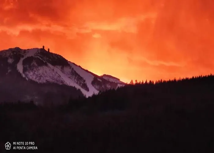 Comfort In Franconian Hills Σπίτι διακοπών Zeil am Main