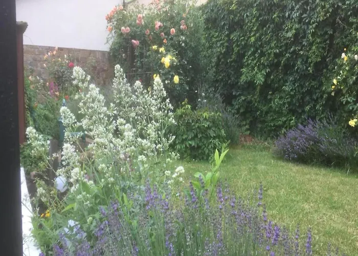 Comfort In Franconian Hills Σπίτι διακοπών Zeil am Main