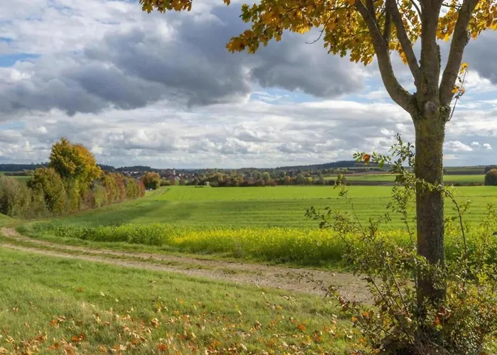 Comfort In Franconian Hills *