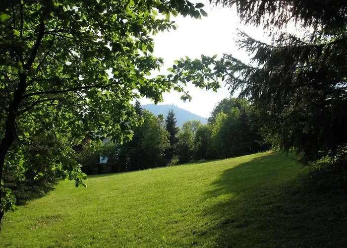 Comfort In Franconian Hills