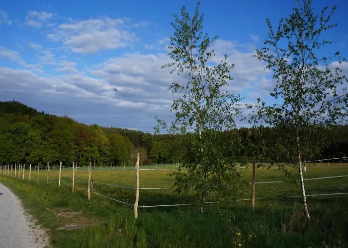 Comfort In Franconian Hills Zeil am Main