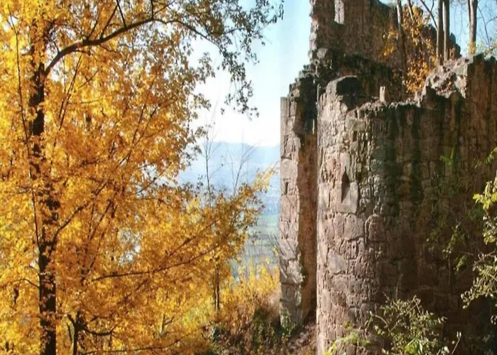 Comfort In Franconian Hills