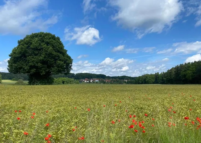 Comfort In Franconian Hills Σπίτι διακοπών *