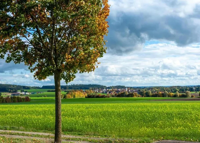 Comfort In Franconian Hills * Zeil am Main